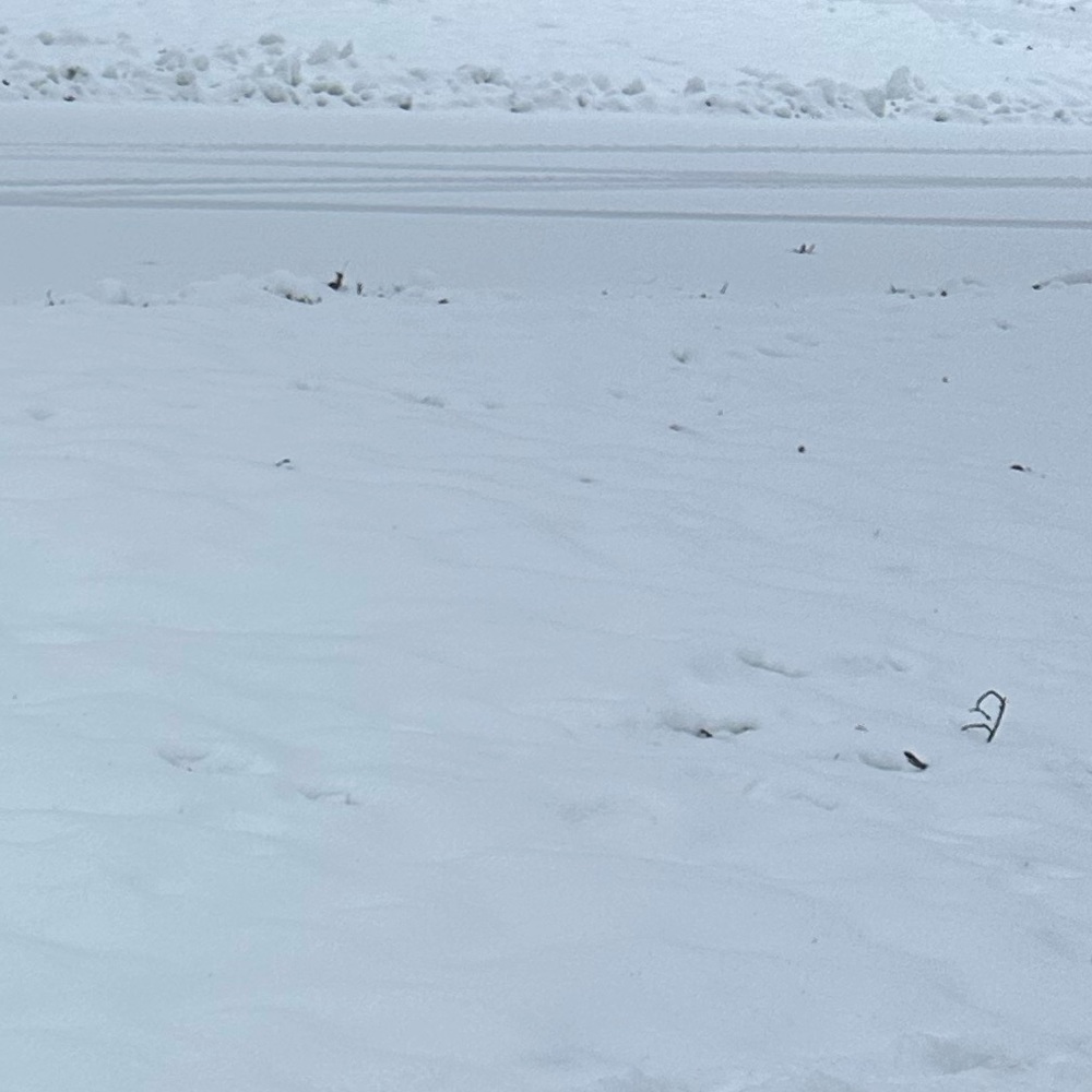 ☃️☃️☃️☃️ Winter ❄️ sharing